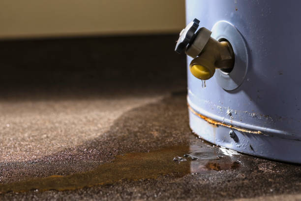 Best Professional water damage repair  in Plymouth, PA