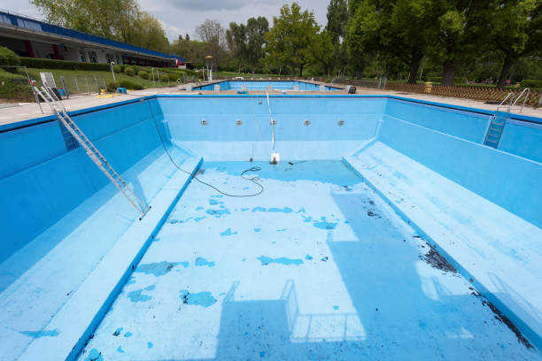 Best Flood damage cleanup  in Plymouth, PA