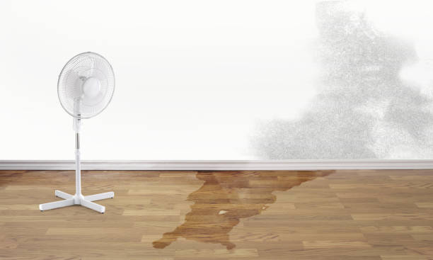 Plymouth, PA Water damage restoration Company