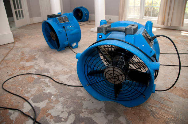 Best Water damage contractors near me  in Plymouth, PA