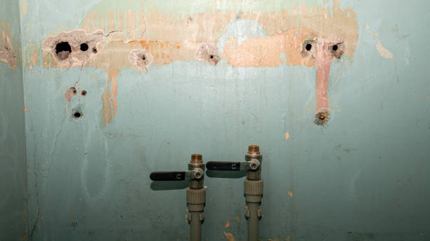 Best Flooded house restoration  in Plymouth, PA