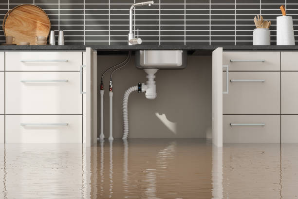 Best Water damage restoration company  in Plymouth, PA