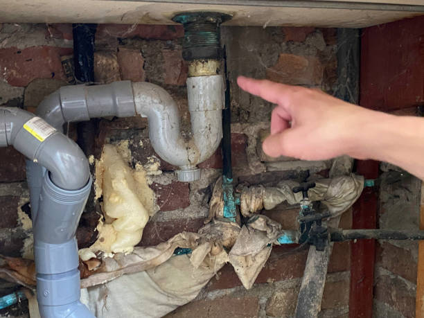 Best Ceiling water damage repair  in Plymouth, PA