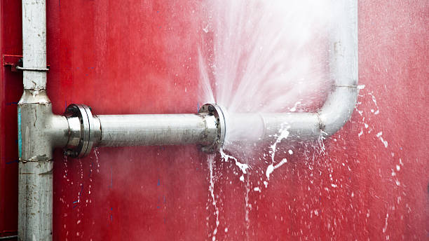 Best Residential water damage restoration  in Plymouth, PA